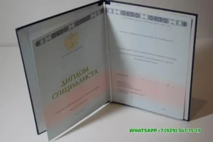 Купить диплом ОГИК — Орловского государственного института культуры в Белгороде